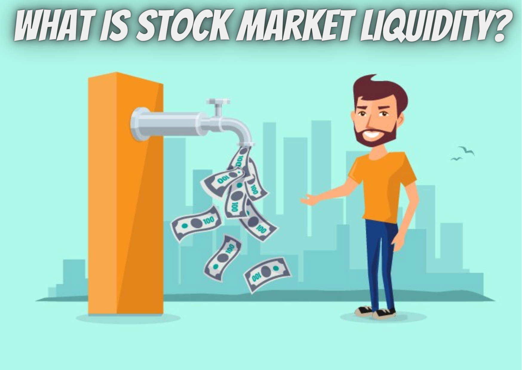 Stock Market Liquidity